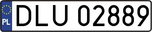 DLU02889