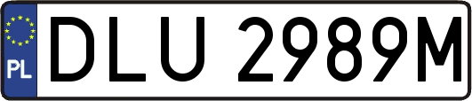 DLU2989M