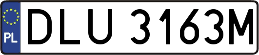 DLU3163M