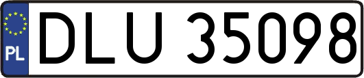 DLU35098