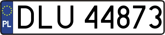 DLU44873