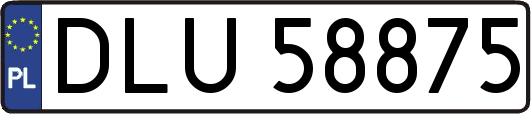 DLU58875