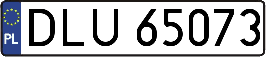 DLU65073