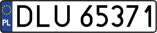 DLU65371