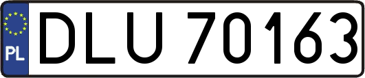 DLU70163