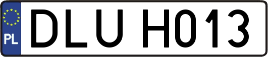 DLUH013