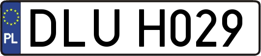 DLUH029