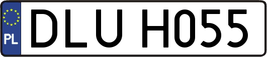 DLUH055