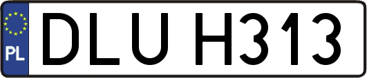 DLUH313