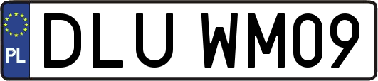 DLUWM09