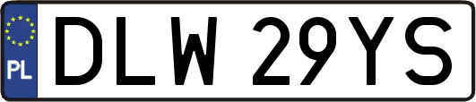 DLW29YS