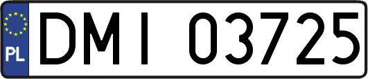 DMI03725