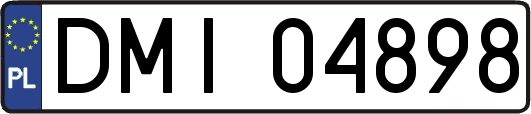 DMI04898