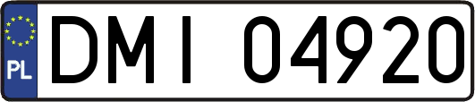 DMI04920