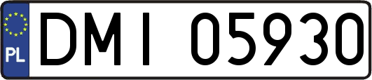 DMI05930