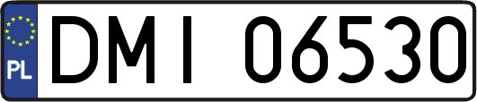 DMI06530