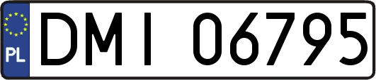 DMI06795