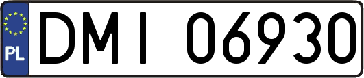 DMI06930