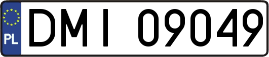 DMI09049