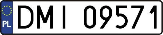 DMI09571