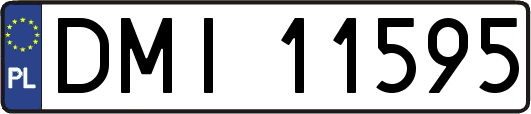 DMI11595