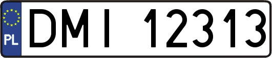 DMI12313