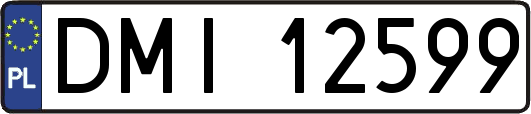 DMI12599