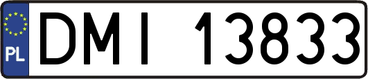 DMI13833