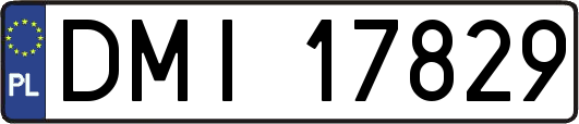 DMI17829