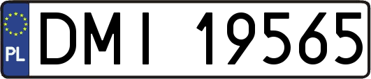 DMI19565
