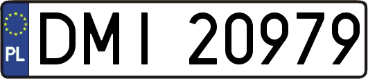 DMI20979