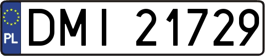 DMI21729