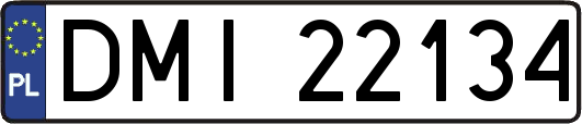 DMI22134