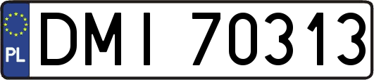 DMI70313