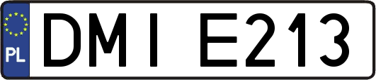 DMIE213