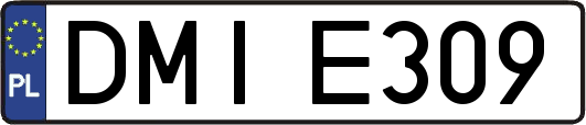 DMIE309