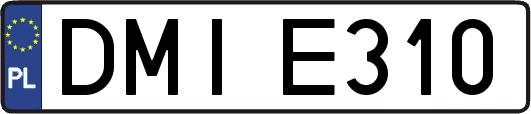 DMIE310