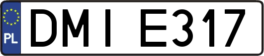 DMIE317