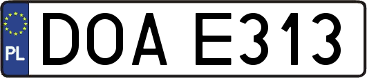 DOAE313