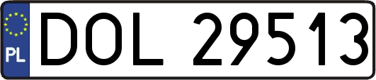 DOL29513