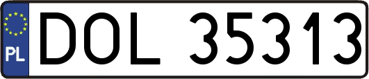 DOL35313