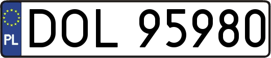 DOL95980