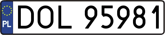 DOL95981