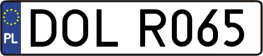DOLR065
