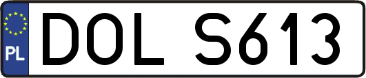 DOLS613