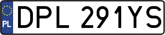 DPL291YS