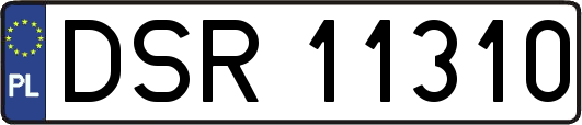 DSR11310