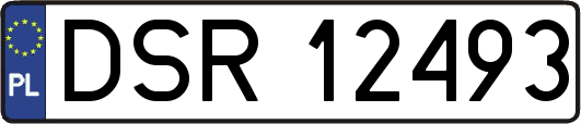 DSR12493