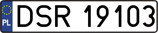 DSR19103