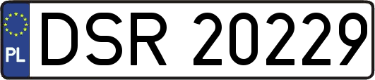 DSR20229